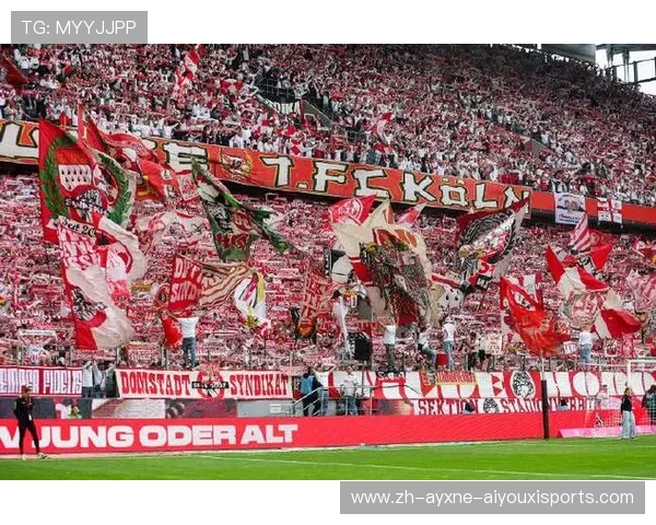 德甲球队属于哪个国家的职业联赛？