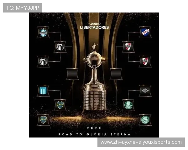 欧冠杯预选赛规则介绍及球队晋级情况分析