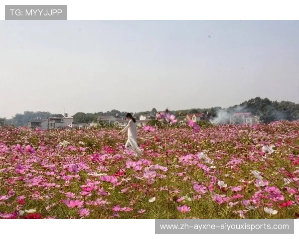 全国风筝精英赛落户庐山 官方发布2026赛事工作机构人员选派通知